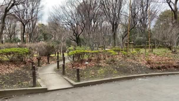 東京新宿中央公園の風景 — ストック動画