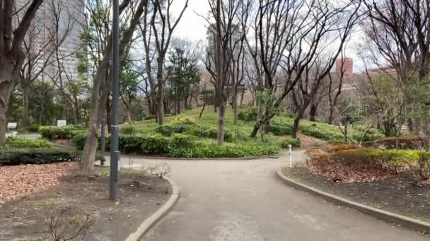 Ландшафт Центрального Парка Токио Синдзю — стоковое видео