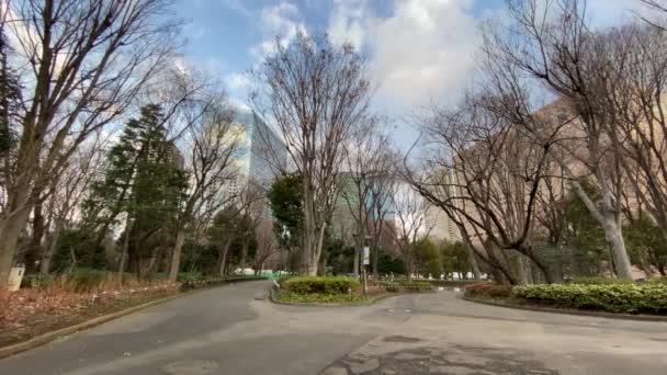 Krajina Central Parku Tokyo Shinjuku — Stock video