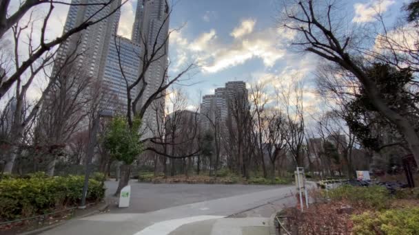 Τοπίο Του Κεντρικού Πάρκου Του Τόκιο — Αρχείο Βίντεο