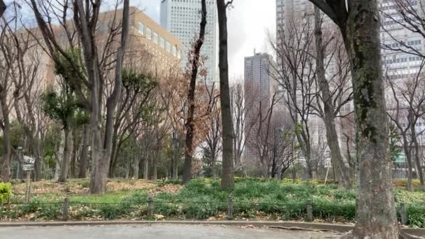 東京新宿中央公園の風景 — ストック動画