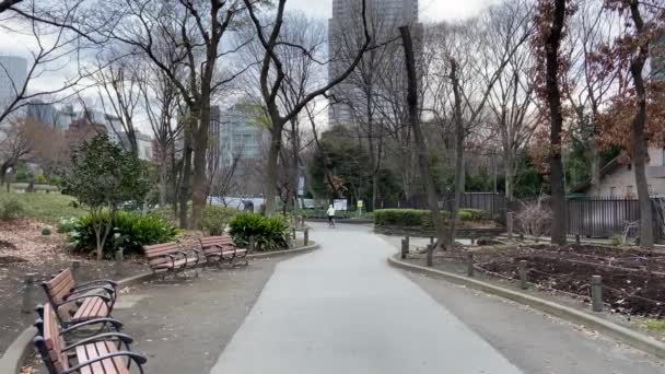 Tokyo Shinjuku Central Park Landskap — Stockvideo