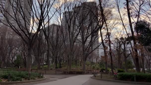 Ландшафт Центрального Парка Токио Синдзю — стоковое видео