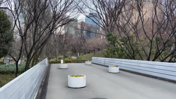 Tokyo Shinjuku Central Park Landscape — Stock Video