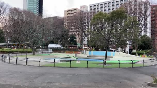 Τοπίο Του Κεντρικού Πάρκου Του Τόκιο — Αρχείο Βίντεο