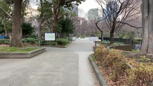 Tokio Shinjuku Central Park Krajobraz — Wideo stockowe