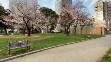 Japonya 'daki Kinshi Parkı, Tokyo