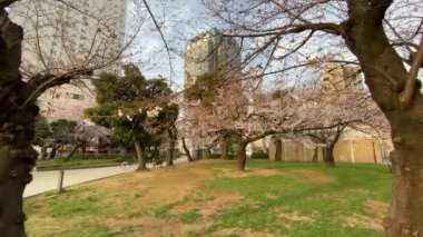 Japonya 'daki Kinshi Parkı, Tokyo