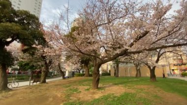 Japonya 'daki Kinshi Parkı, Tokyo