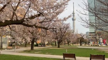 Japonya 'daki Kinshi Parkı, Tokyo