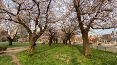 Japonya 'daki Kinshi Parkı, Tokyo