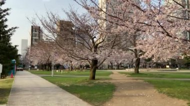 Japonya 'daki Kinshi Parkı, Tokyo