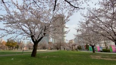 Japonya 'daki Kinshi Parkı, Tokyo
