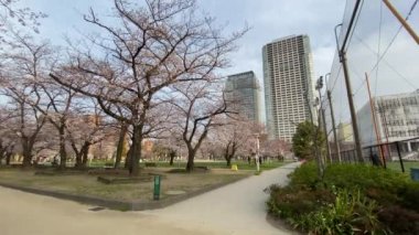 Japonya 'daki Kinshi Parkı, Tokyo