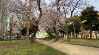 Japonya 'daki Kinshi Parkı, Tokyo