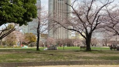 Japonya 'daki Kinshi Parkı, Tokyo
