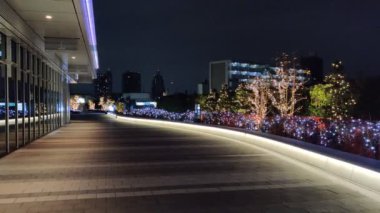 Tokyo Gökyüzü Ağacı Gece Görünümü