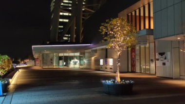 Tokyo Gökyüzü Ağacı Gece Görünümü