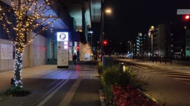 Tokyo Gökyüzü Ağacı Gece Görünümü
