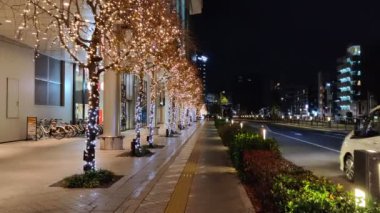 Tokyo Gökyüzü Ağacı Gece Görünümü