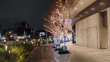 Tokyo Gökyüzü Ağacı Gece Görünümü