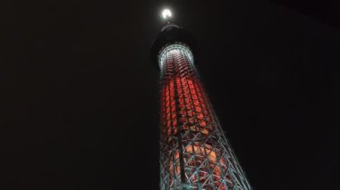 Tokyo Gökyüzü Ağacı Gece Görünümü