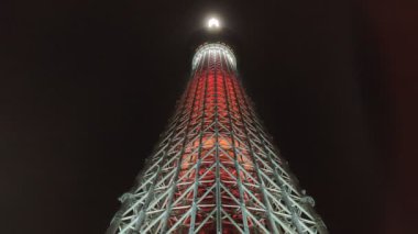 Tokyo Gökyüzü Ağacı Gece Görünümü