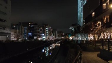 Tokyo Gökyüzü Ağacı Gece Görünümü