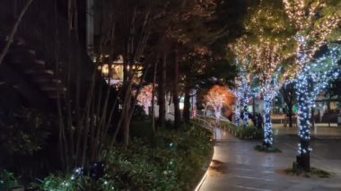 Tokyo Gökyüzü Ağacı Gece Görünümü
