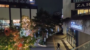 Tokyo Gökyüzü Ağacı Gece Görünümü