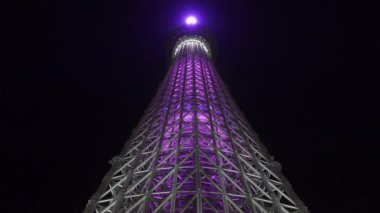 Tokyo Gökyüzü Ağacı Gece Görünümü