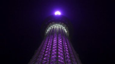 Tokyo Gökyüzü Ağacı Gece Görünümü