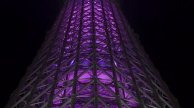 Tokyo Gökyüzü Ağacı Gece Görünümü