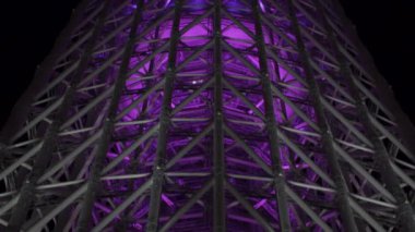 Tokyo Gökyüzü Ağacı Gece Görünümü