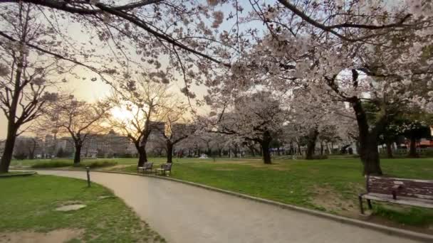 Parque Kinshi Japão Tóquio — Vídeo de Stock