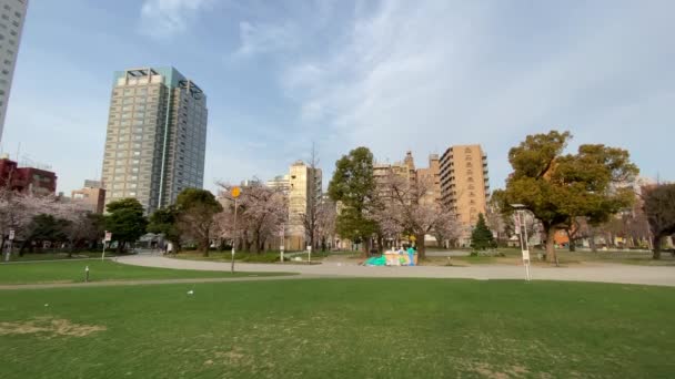 Kinshi Park Japánban Tokió — Stock videók