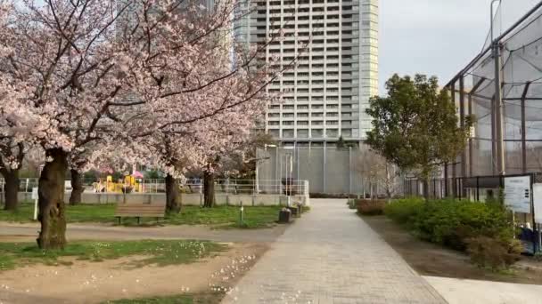 Kinshi Park Japonsku Tokio — Stock video
