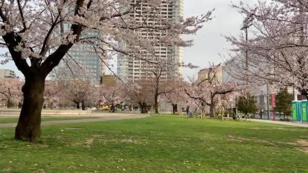 Kinshi Park Japón Tokio — Vídeos de Stock