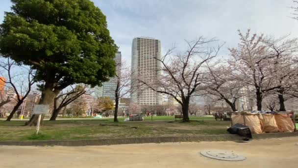 日本の錦糸公園 — ストック動画