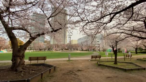 Парк Астаны Японии Токио — стоковое видео