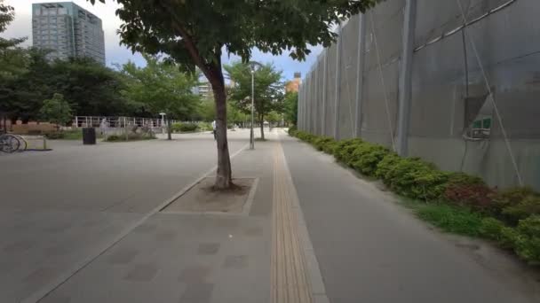 Kinshi Park Japan Tokio — Stockvideo