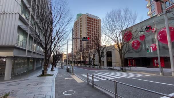 Roppongi Hills Tokio Japonia — Wideo stockowe