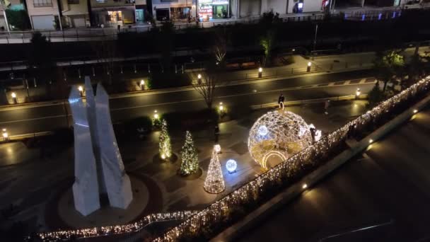 Tokyo Sky Tree Vista Notturna — Video Stock