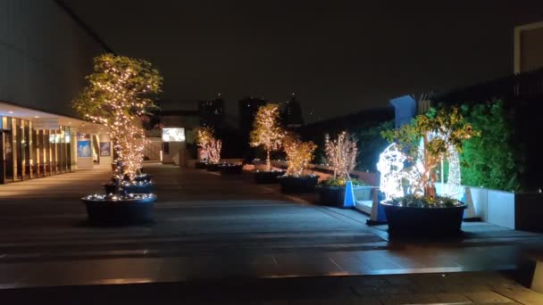 Tokyo Sky Tree Night View — Stok Video