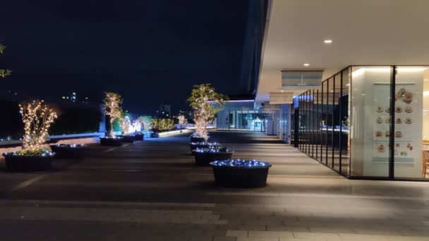 Tokio Sky Tree Night View — Wideo stockowe