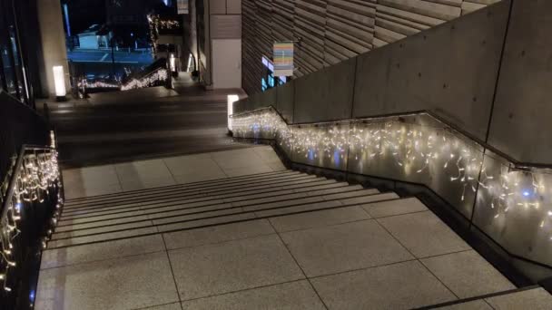 Νυχτερινή Άποψη Του Τόκιο — Αρχείο Βίντεο