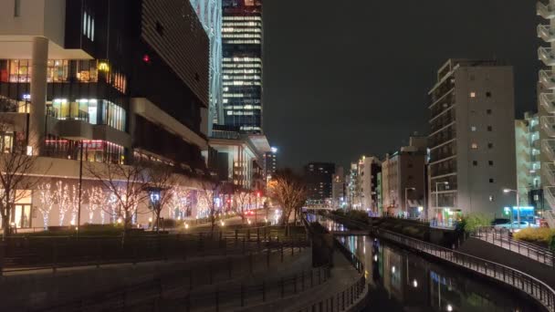 Tokio Sky Tree Night View — Wideo stockowe
