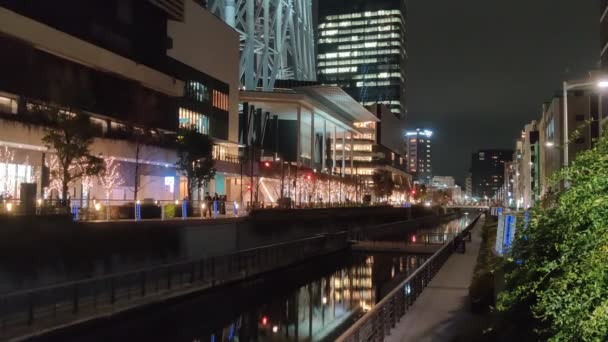 Tokyo Sky Tree Vista Notturna — Video Stock