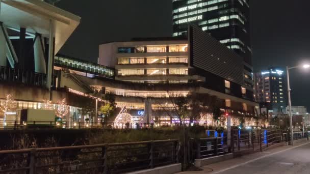 Tokyo Sky Tree Éjszakai Nézet — Stock videók