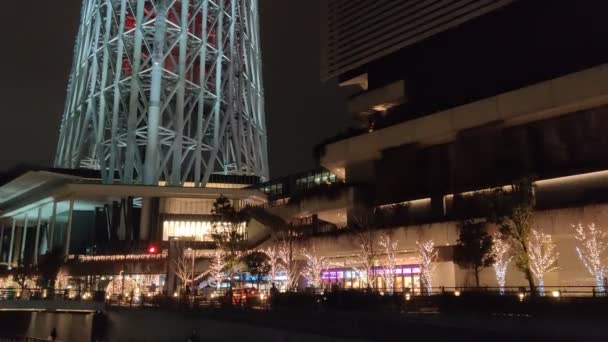 Tokio Sky Tree Night View — Wideo stockowe